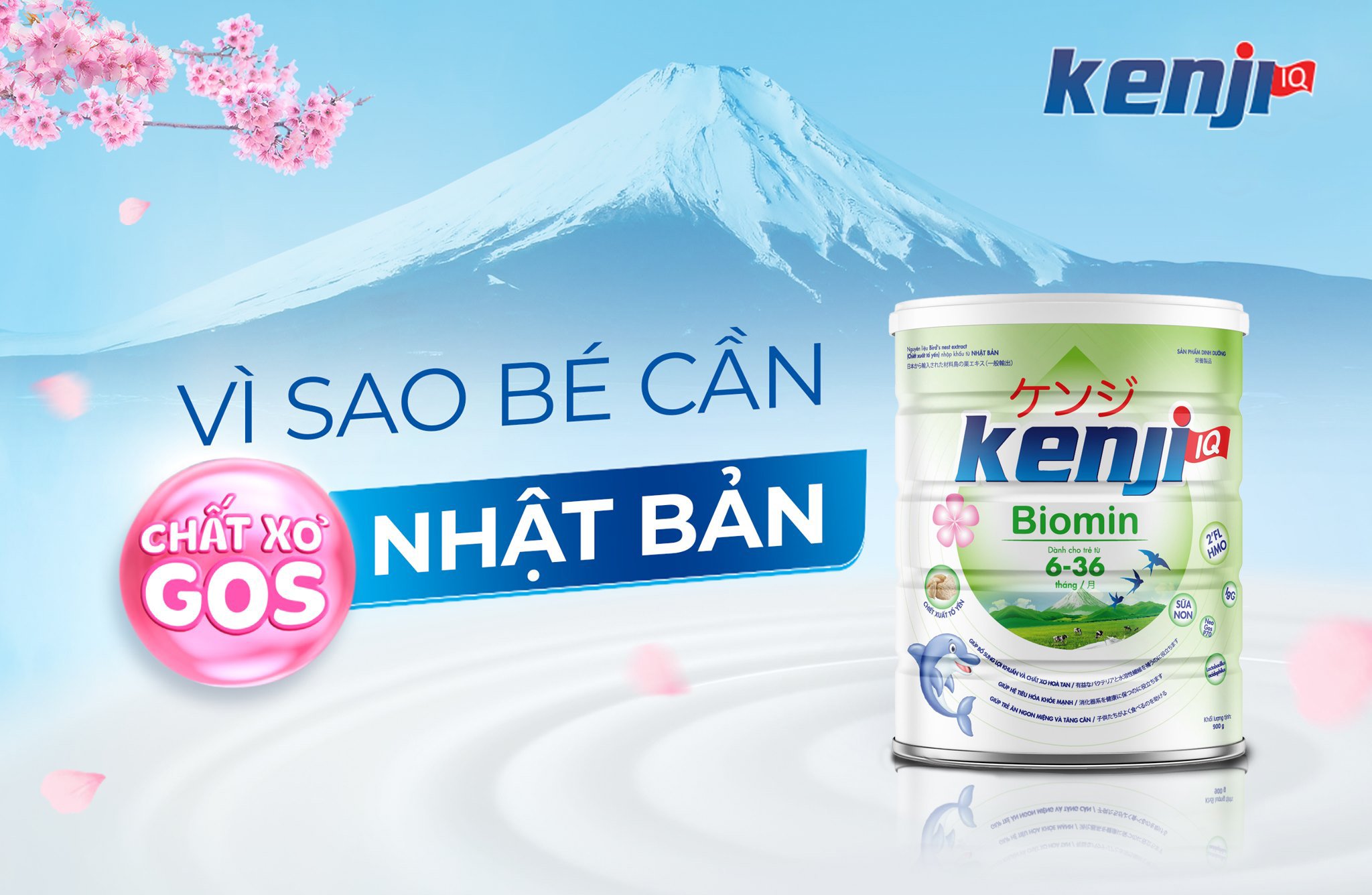 blog sữa kenji
